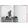 Cats. Photographs 1942–2018 Book
